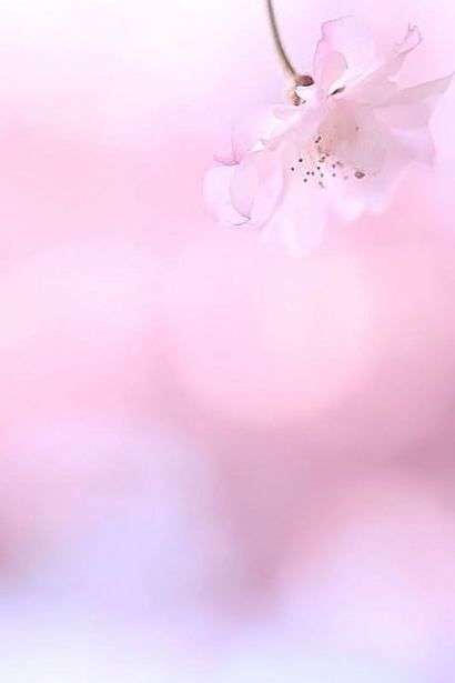 17 18 秋冬 トレンドカラー パーソナルカラー スプリング編 ゆーもらいふblog